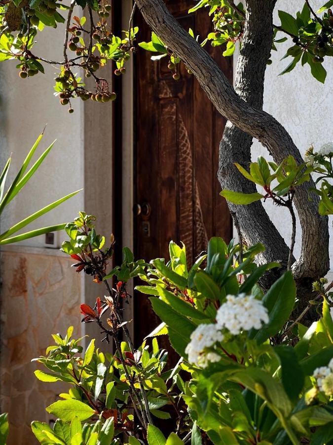 Casa Tesoro Villa Cisternino Luaran gambar