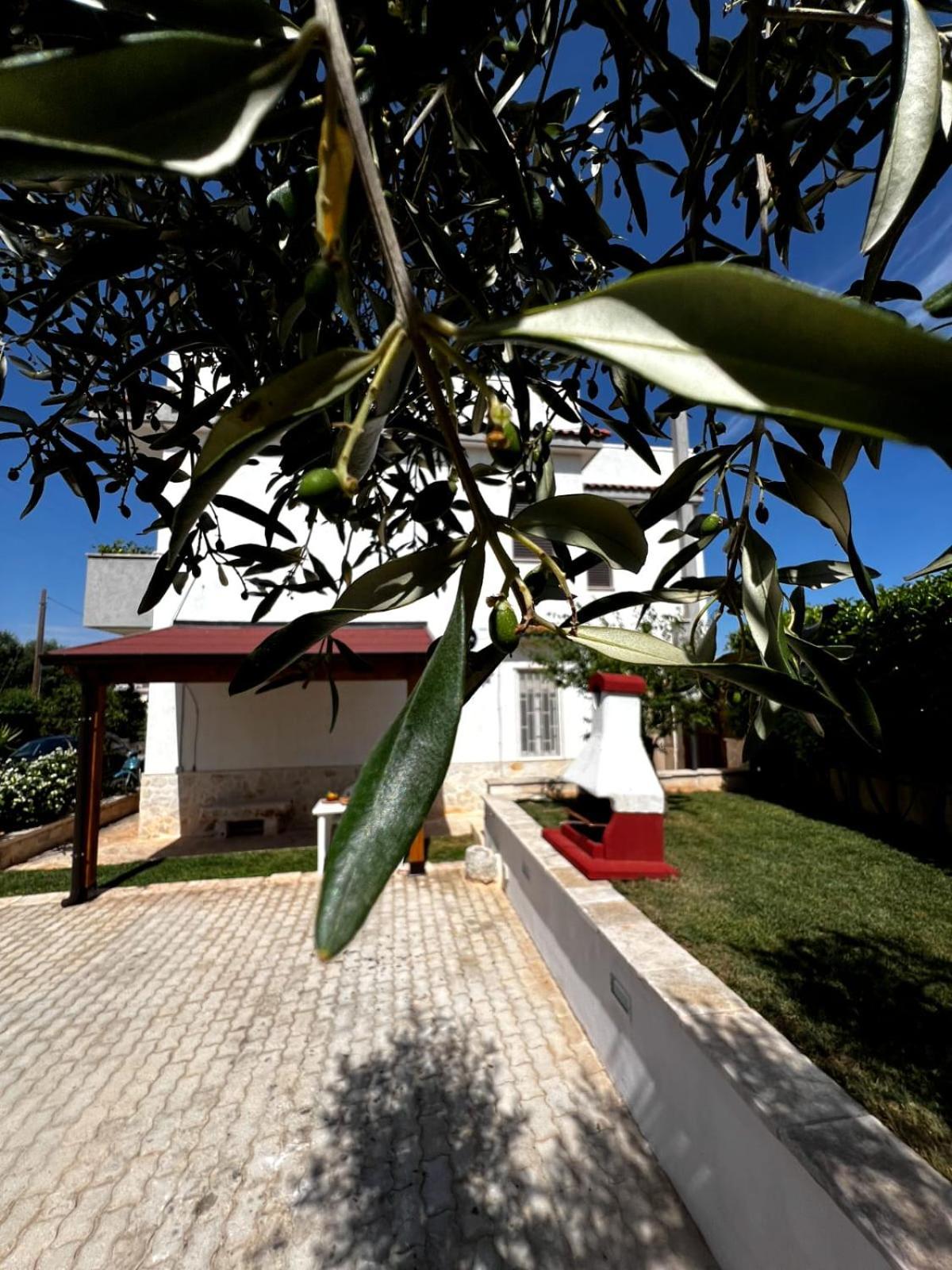 Casa Tesoro Villa Cisternino Luaran gambar